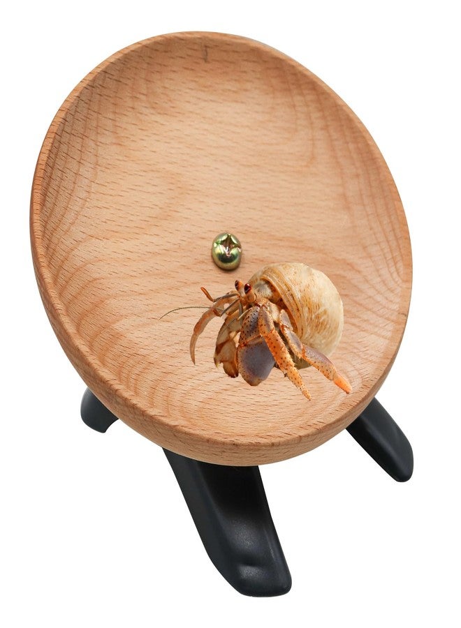 Oooct Hermit Crabs Wheel Toy, Hamster Running Wheel Toys, Small Animals Cage Accessory, Tank Accessory, Suitable for Hermit Crab Hamster Rat - Image 1